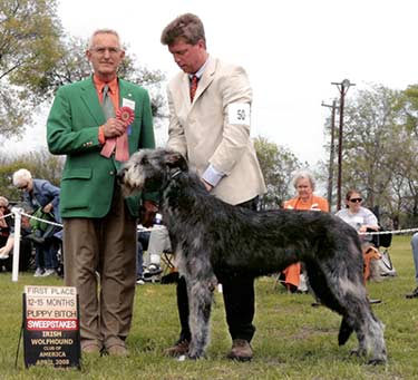 Caper winning 1st IWCA Sweepstakes 2008