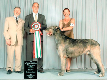 CDN Ch Wolfhaven Hearthside Dan Aerie