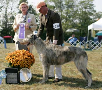 Entry winning BOW at IWADV 2007