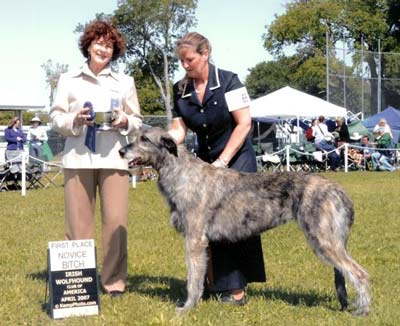Guffaw at IWCA