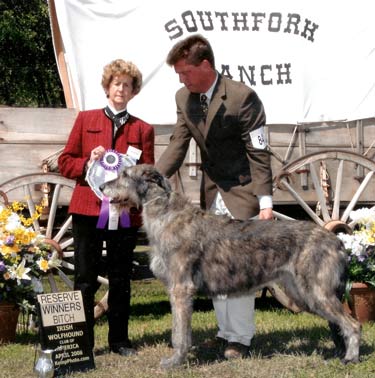 Guffaw - RWB IWCA National 2008
