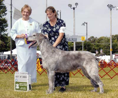 CH Sonora Fionnmae